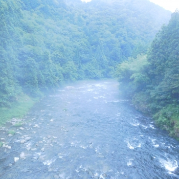 DSCN4546.JPG