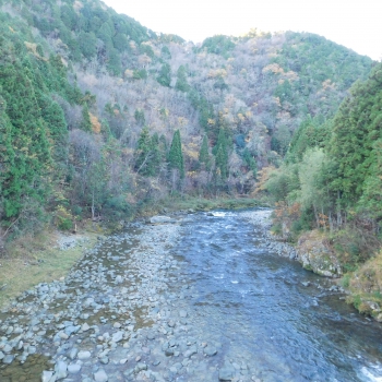 DSCN4549.JPG