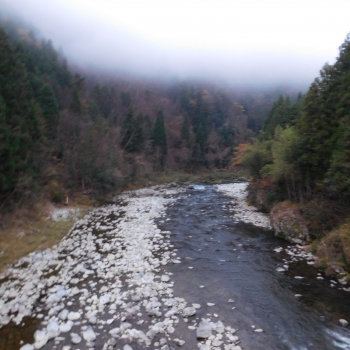 DSCN4582.JPG