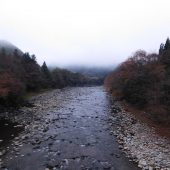 DSCN4585.JPG