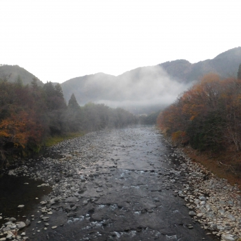 DSCN4589.JPG