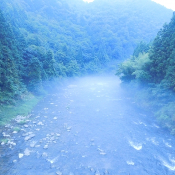 DSCN4591.JPG