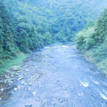 DSCN4687.JPG