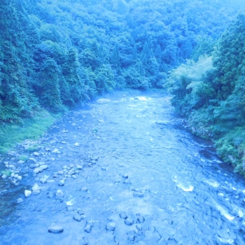 DSCN4692.JPG
