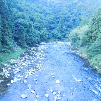 DSCN4696.JPG