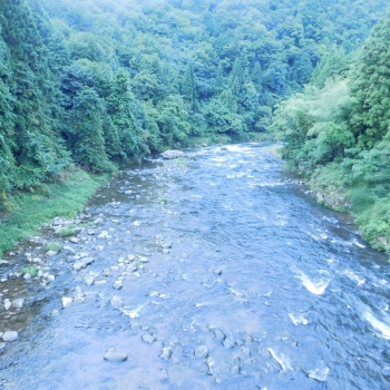 DSCN4700.JPG