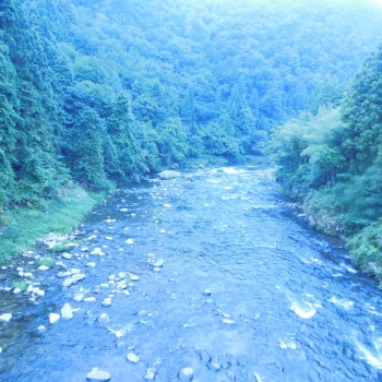 DSCN4704.JPG