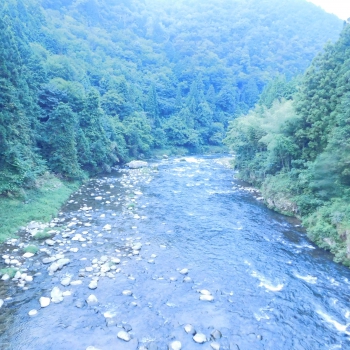 DSCN4708.JPG