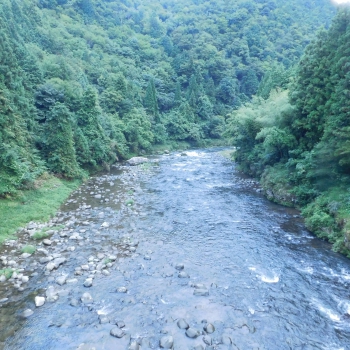 DSCN4717.JPG