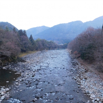 DSCN4719.JPG