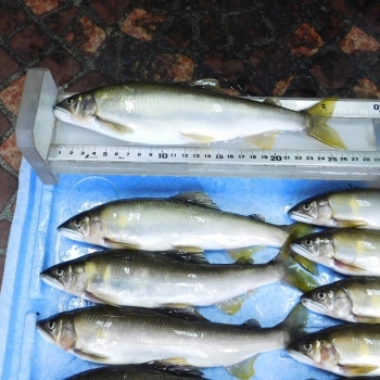 DSCN4722.JPG