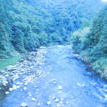 DSCN4728.JPG