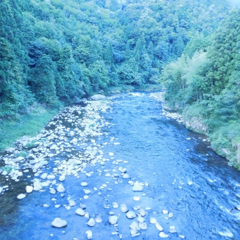 DSCN4732.JPG