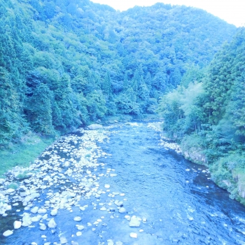 DSCN4736.JPG