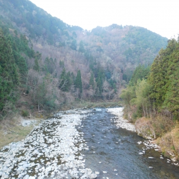 DSCN4740.JPG