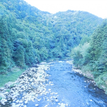 DSCN4740.JPG