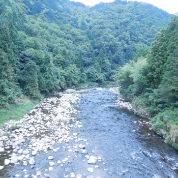 DSCN4744.JPG