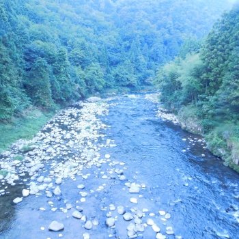 DSCN4749.JPG