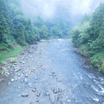 DSCN4753.JPG