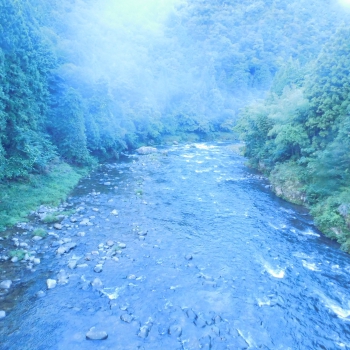 DSCN4761.JPG