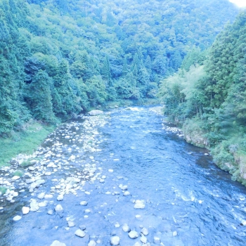 DSCN4766.JPG
