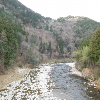 DSCN4778.JPG