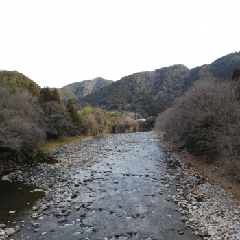 DSCN4782.JPG