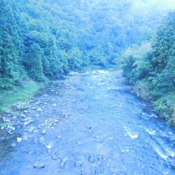 DSCN4787.JPG