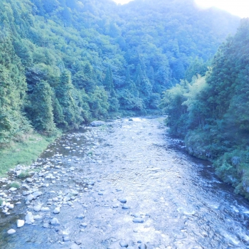 DSCN4792.JPG
