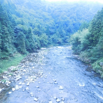 DSCN4797.JPG