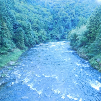 DSCN4810.JPG