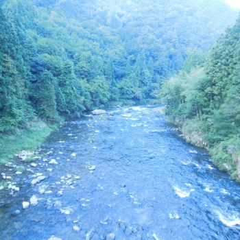 DSCN4814.JPG