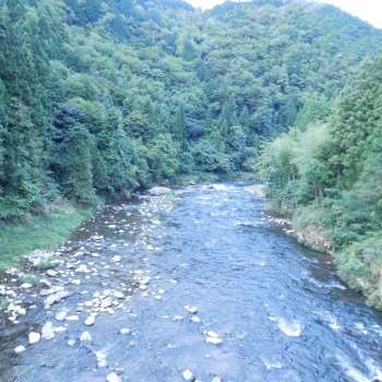 DSCN4818.JPG