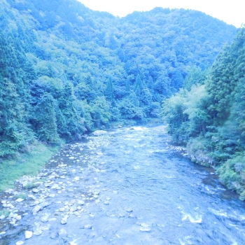 DSCN4822.JPG