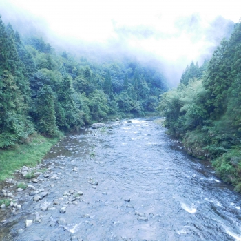 DSCN4874.JPG