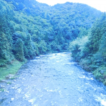 DSCN4878.JPG