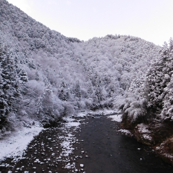 DSCN4882.JPG