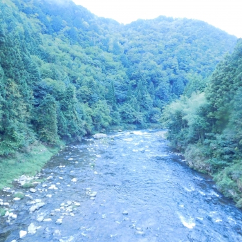 DSCN4883.JPG