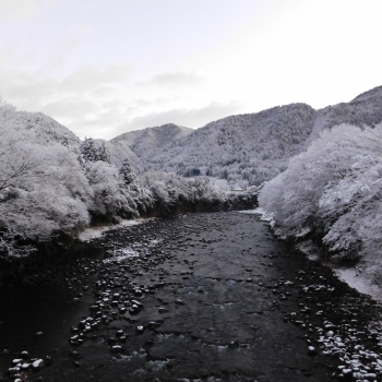 DSCN4885.JPG