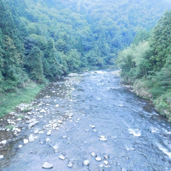 DSCN4887.JPG