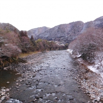 DSCN4889.JPG