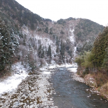 DSCN4890.JPG