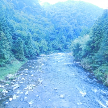 DSCN4891.JPG