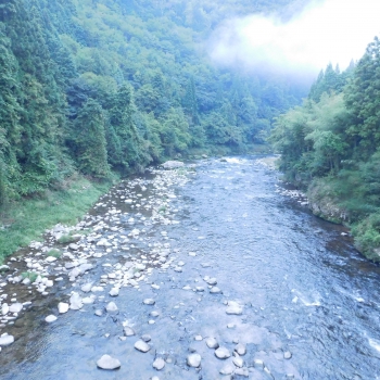 DSCN4895.JPG