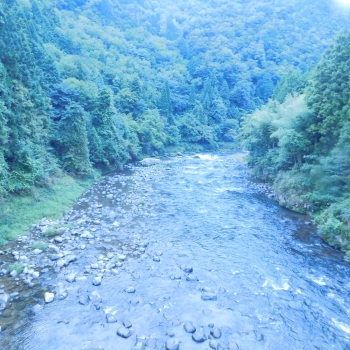 DSCN4899.JPG