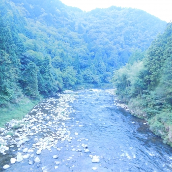DSCN4903.JPG