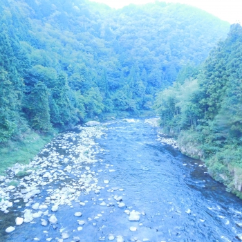 DSCN4907.JPG
