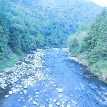 DSCN4911.JPG