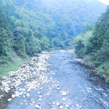 DSCN4915.JPG