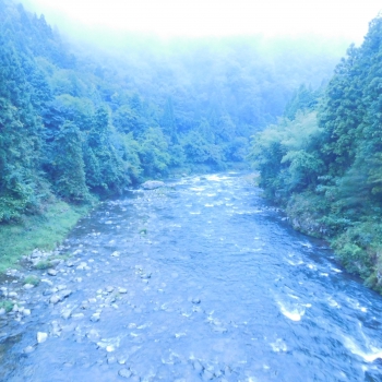 DSCN4919.JPG